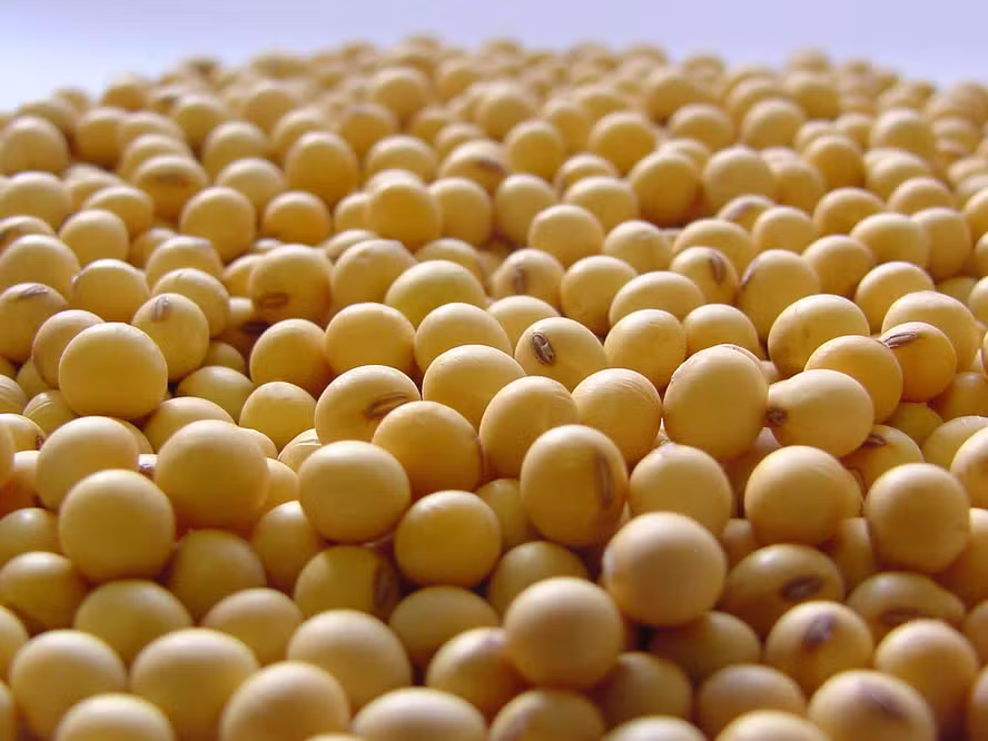 Acordo entre EUA e China e La Niña são riscos para o agro em 2026