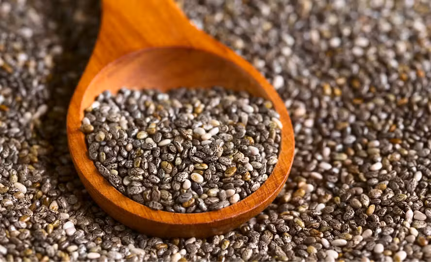 Agro brasileiro abre novos mercados na Argentina e no Paraguai