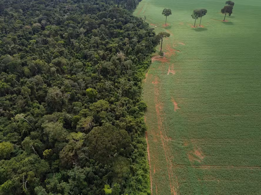 Agro defende metodologia mais precisa para calcular impacto do setor no clima