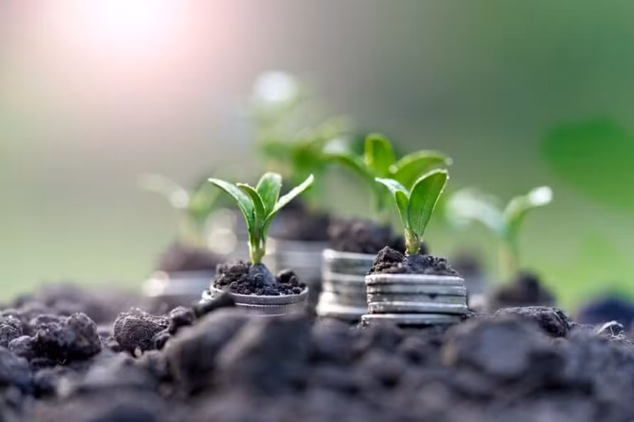 Bioinsumo pode trazer economia de até R$ 15,7 bilhões por safra de soja, diz estudo