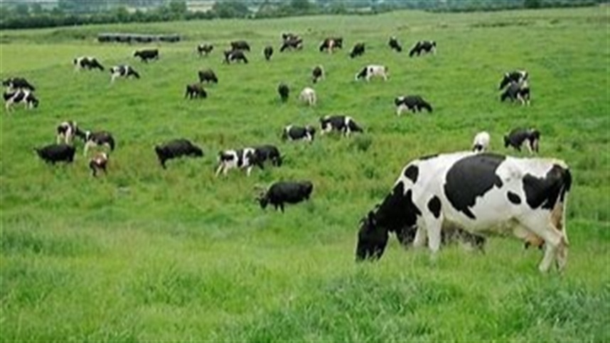 Brasil tem potencial para liderar agropecuária sustentável