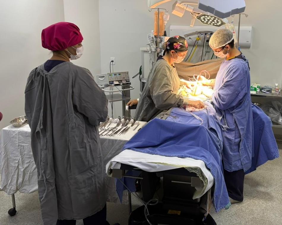 Central Estadual de Transplantes faz captação de rins e córneas em Nova Mutum