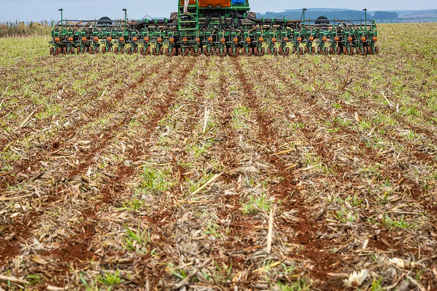 Chuva beneficia início do plantio de soja no Brasil