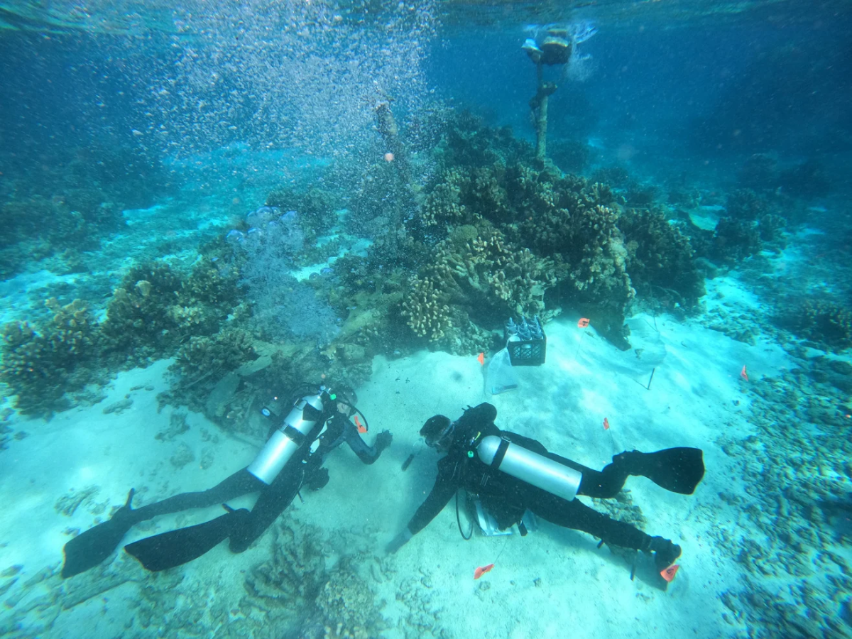 Como DNA do fundo do oceano pode mudar busca por soldados perdidos no mar