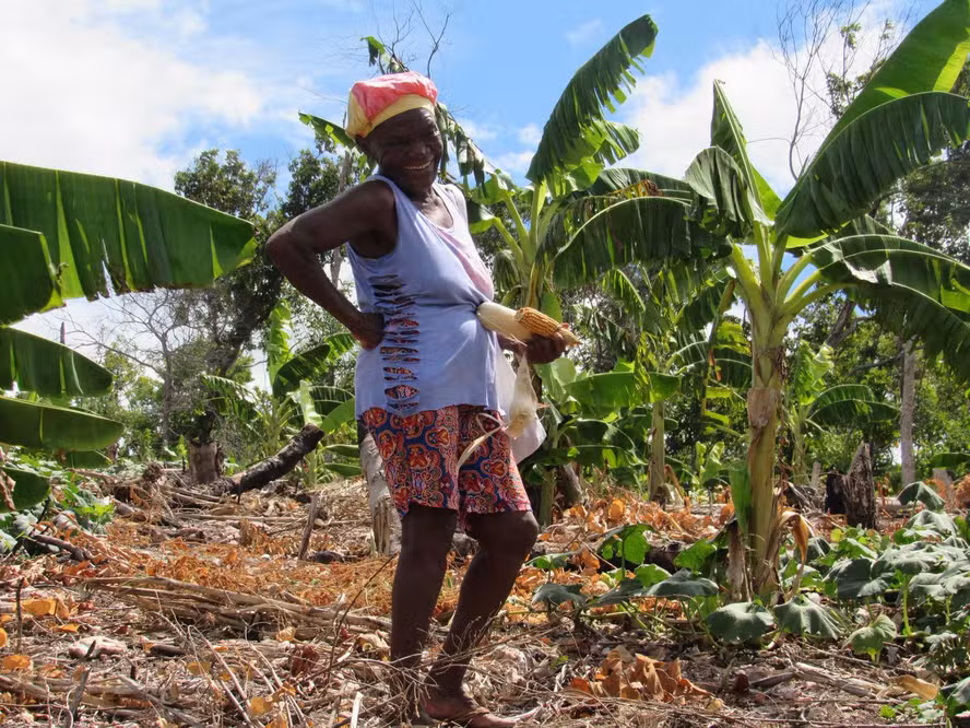 Como o manejo agroecológico de quilombolas pode combater o racismo ambiental