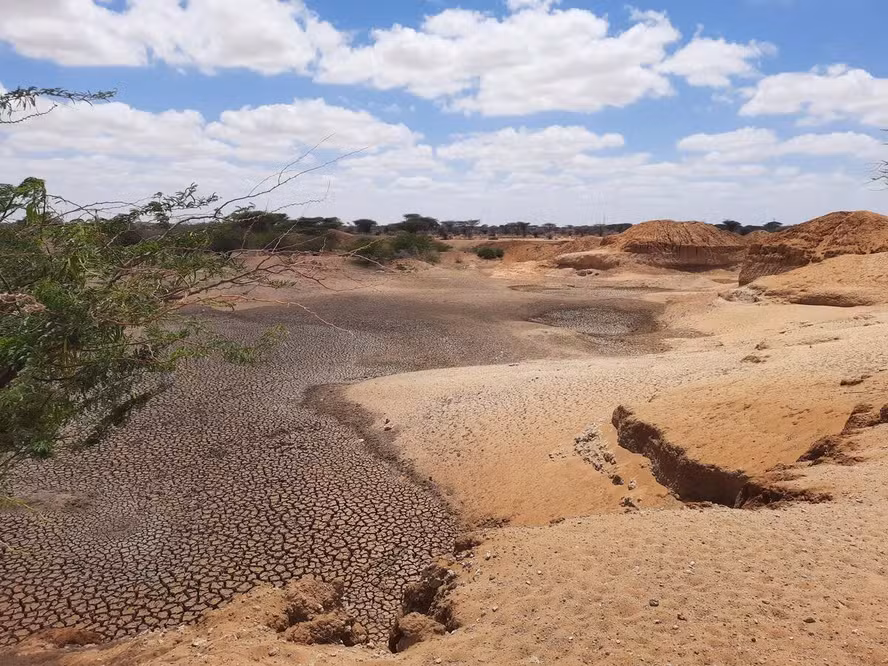 Degradação do solo já reduz produtividade agrícola para 1,7 bilhão de pessoas