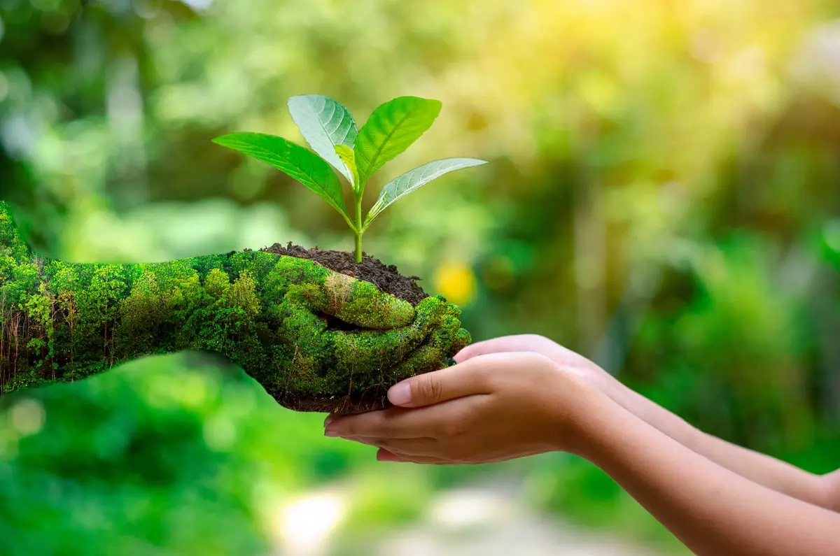 Esmagis-MT promove reflexão sobre meio ambiente no Dia da Natureza e dos Animais