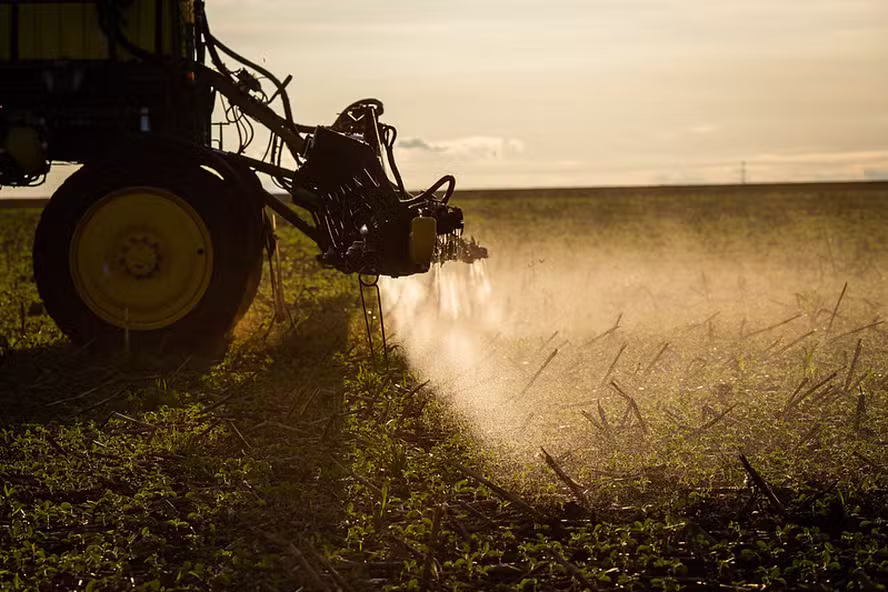  Falhas na adoção de plantio direto elevam uso de herbicida no campo