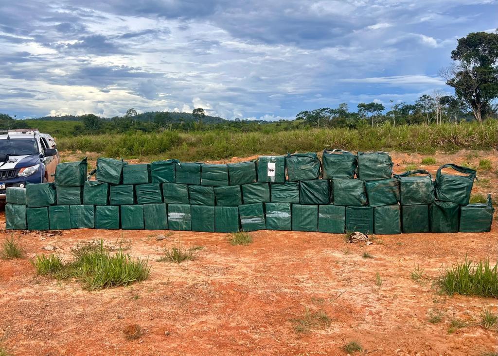 Forças de segurança apreendem 35 toneladas de drogas em 2025 em Mato Grosso