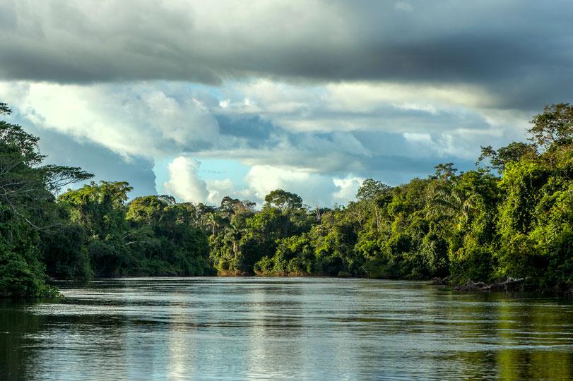 Governo de MT faz parceria com O.N.E. Amazon para investimento em projetos sustentáveis no Estado