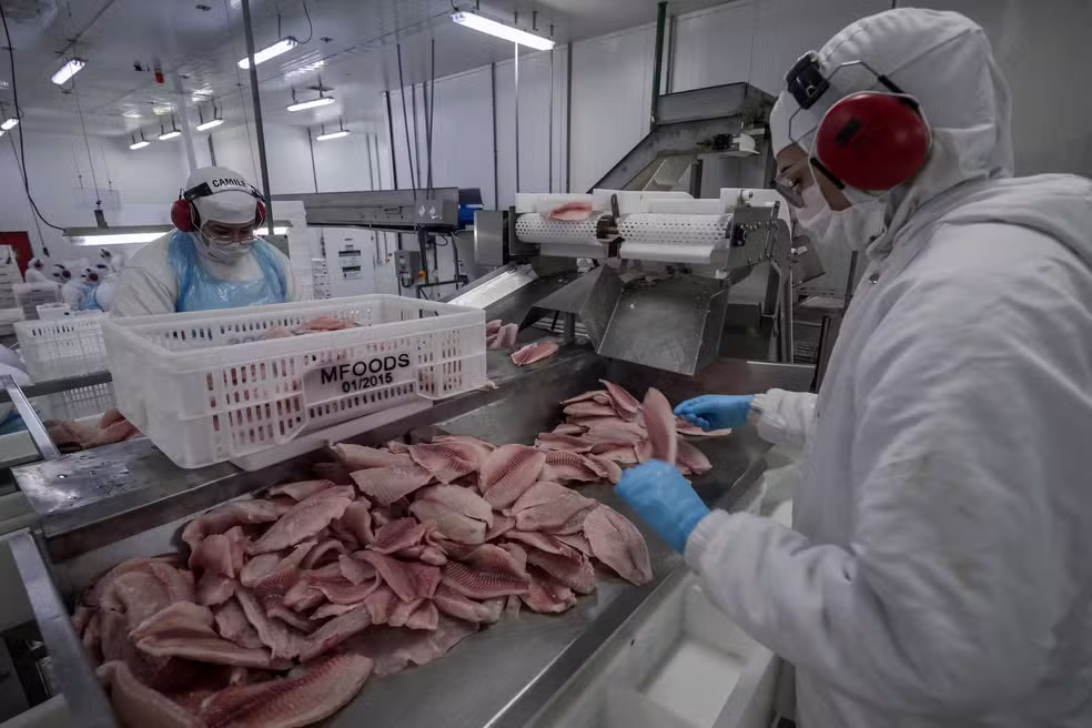  Governo vai comprar pescado, mel e frutas de produtores afetados por tarifaço, mas deixa café e carne fora de lista