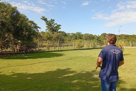  Mapa confirma caso de gripe aviária em propriedade de Acorizal