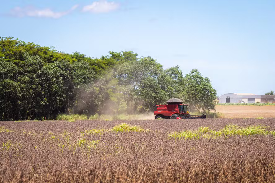 Moratória da Soja segue indefinida enquanto lados opostos comemoram decisão do Cade
