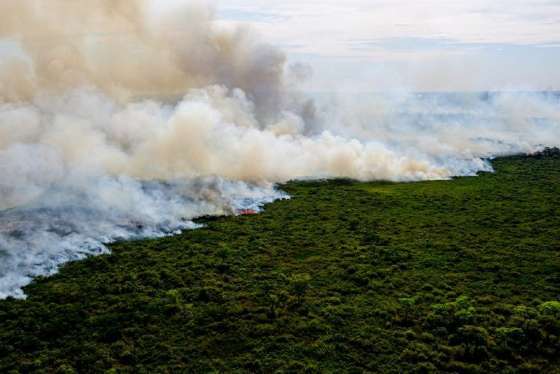 Nova Lei do Pantanal proíbe uso de áreas ilegalmente desmatadas: entenda novas regras
