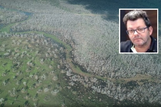  Pecuarista terá que pagar R$ 1 mi por desmate no Pantanal