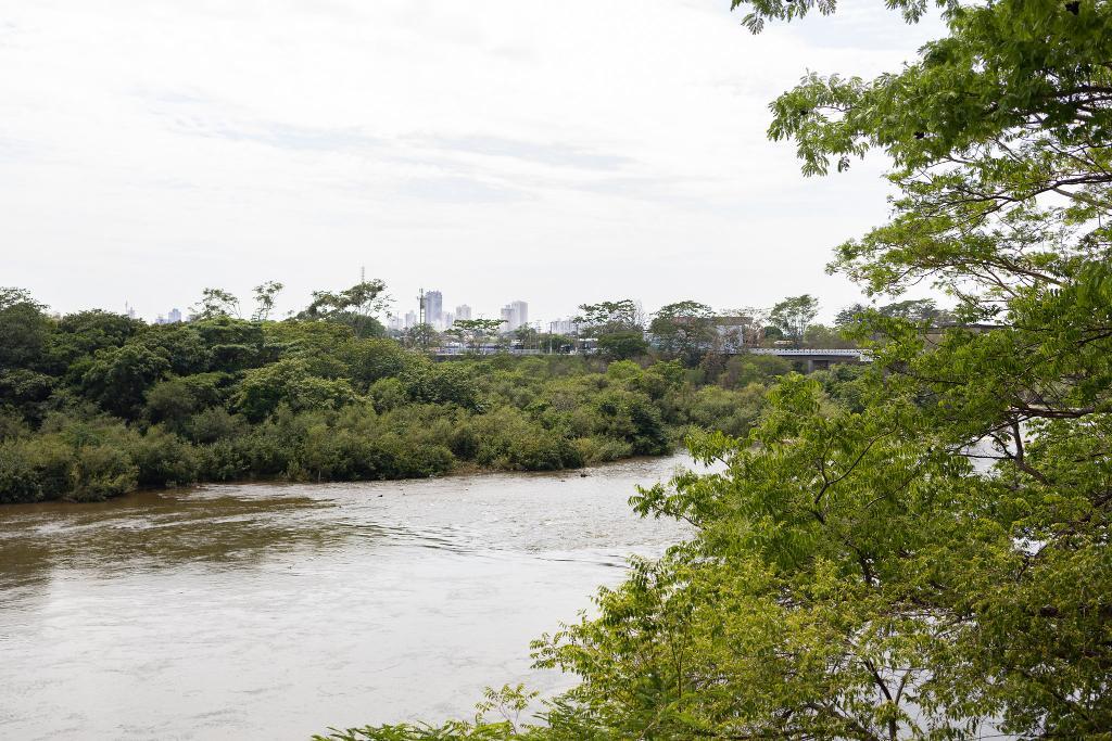 Pescadores profissionais e estabelecimentos comerciais devem declarar estoque pesqueiro até a próxima sexta-feira (03)