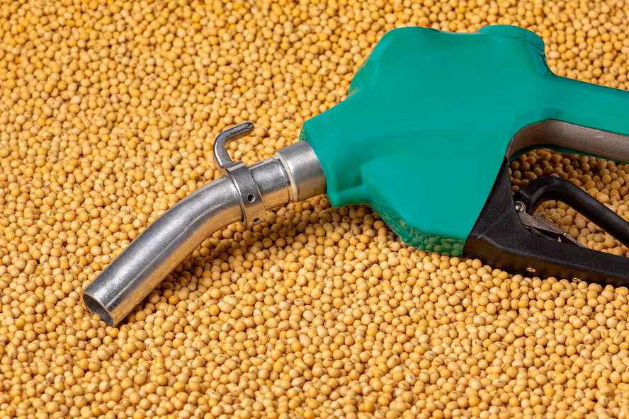  PIB da cadeia de soja e biodiesel deve crescer 11% em 2025