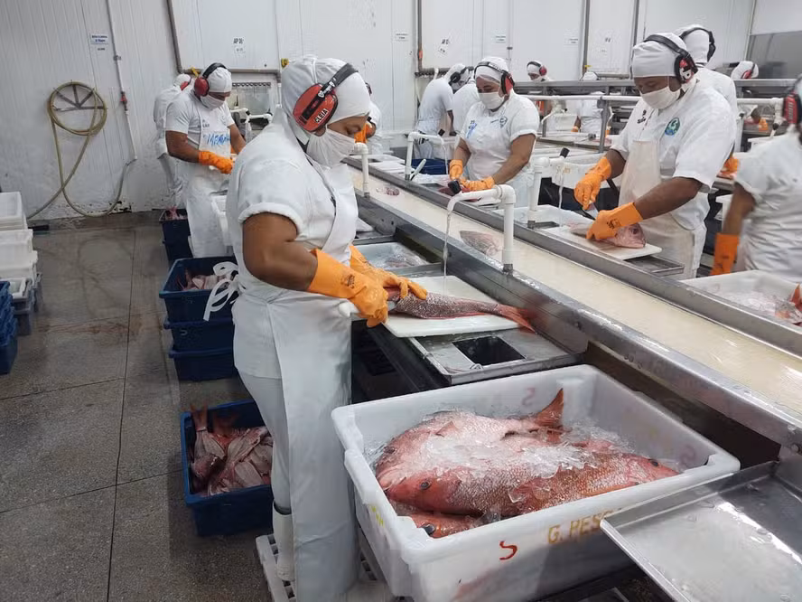 Sem EUA, setor de pesca deixa de exportar US$ 250 milhões